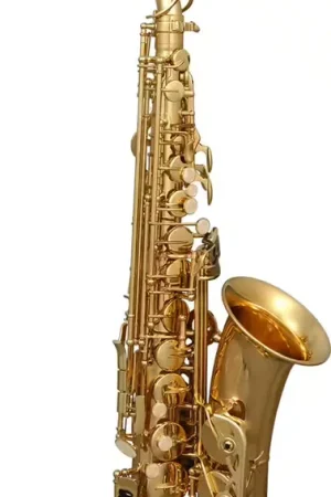 SML Paris A420-II Alto Mib Verni | Bon plan