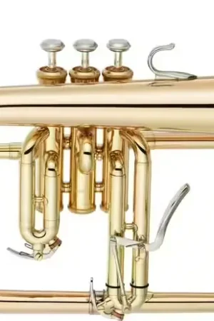 Haute qualité | Yamaha YFH8315G Custom Sib Verni