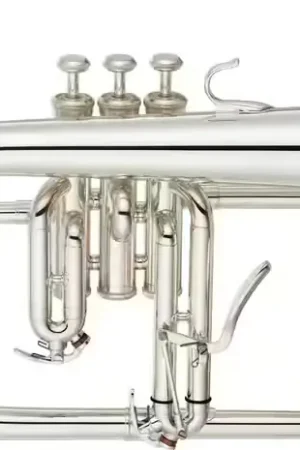 Disponible maintenant | Yamaha YFH8315GS Custom Sib Argenté