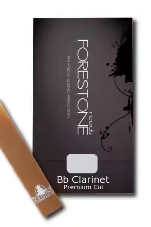 Économisez maintenant - Forestone PREMIUM CUT 5 HARD - CLARINETTE SIB