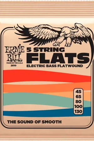 Ernie Ball 2810 Custom Gauge 5 String Flatwound 45-130 - Tendance