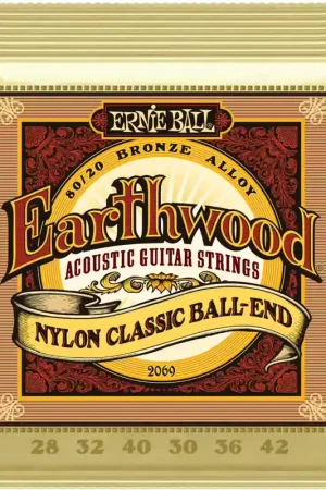 Ernie Ball 2069 80/20 Alloy Nylon Classic BALL-end 28-42 | Retour facile