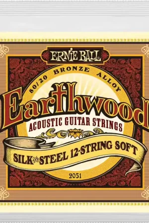 Réduction | Ernie Ball 2051 Earthwood Silk Soft 12C 9-46
