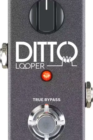 Tc Electronic Ditto Looper | Commandez en ligne