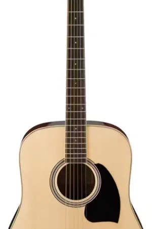 Fin de série - Ibanez Pf15-Nt Natural Performance