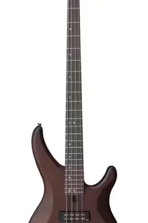 Commandez maintenant | Yamaha Trbx504 Trans Brown
