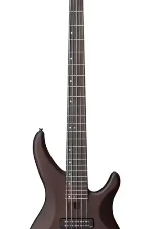 Plus que quelques pièces - Yamaha Trbx505 Trans Brown