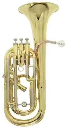 Expédition rapide - Roy Benson BH-302 - 4 Pistons (3+1)