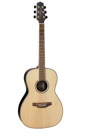 Nouveau chez nous - Takamine Gy93-Nat Natural