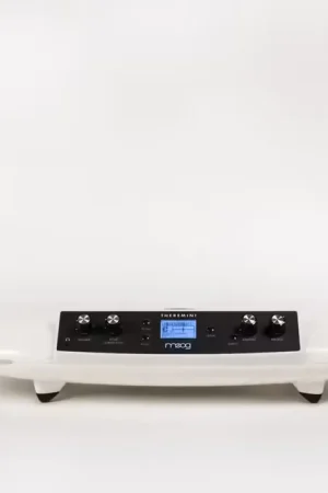 Moog Theremini | Incontournable