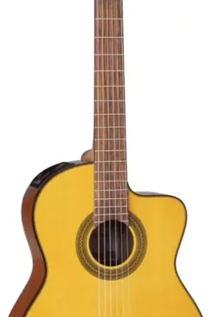 Prix exceptionnel - Takamine Gc1Ce-Nat Natural