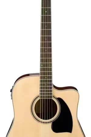 Offre exceptionnelle - Ibanez PF15ECE-NT Natural Performance