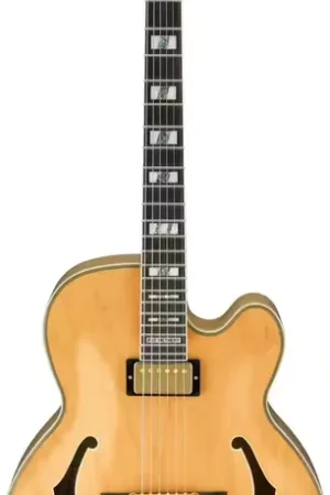 Ibanez PM200-NT Natural Signature Pat Metheny PM - Coup de cœur
