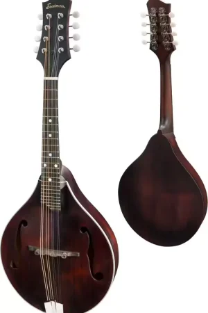 Plus que quelques pièces | Eastman MD305 Classic