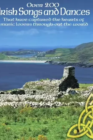 Amsco Over 200 Irish Songs And Dances | Prêt à expédier