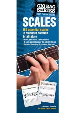 Music Sales GIG BAG BOOK OF SCALES FOR ALL GUITARISTS - GUITAR TAB | Offre