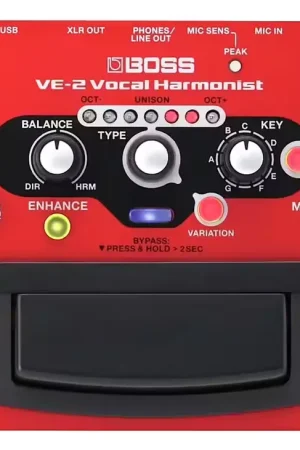 Envoi rapide | Boss VE-2 Vocal Harmonist