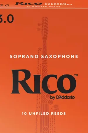 D'addario - Rico Orange 3 - Saxophone Soprano | Prix avantageux