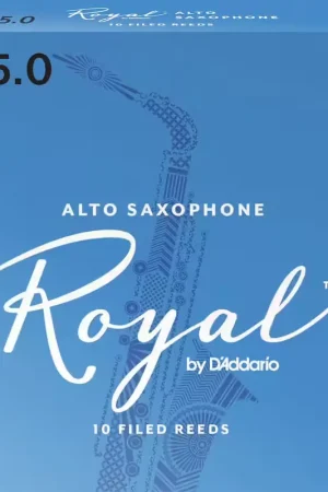 Offre bientôt terminée | D'addario - Rico Royal 5 - Saxophone Alto