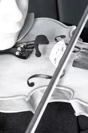 Quantité limitée - Prodipe VL21C Lanen Violon - Alto