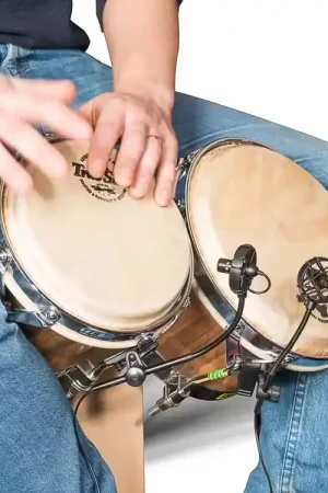 Prodipe PL21 Salmieri Percussions - Livraison rapide