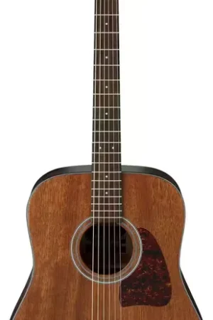 Premium | Ibanez AW54-OPN Natural Artwood