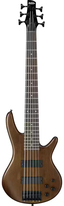 Ne manquez pas cette offre - Ibanez GSR206B-WNF Walnut Flat Gio
