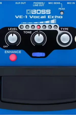 Excellente qualité - Roland VE-1 Vocal Echo