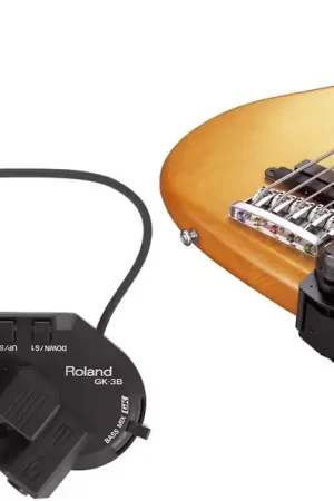 Meilleure vente - Roland GK-3B