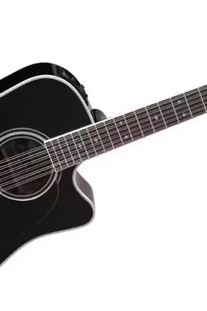 Prix spécial | Takamine Japon EF381sc Black 12-cordes