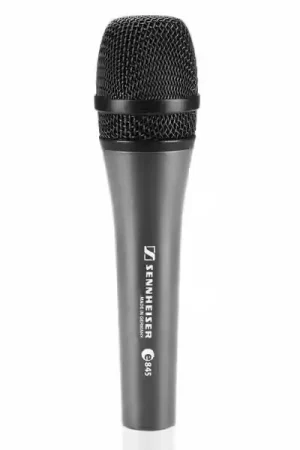 Sennheiser Evolution E 845 | Commandez maintenant