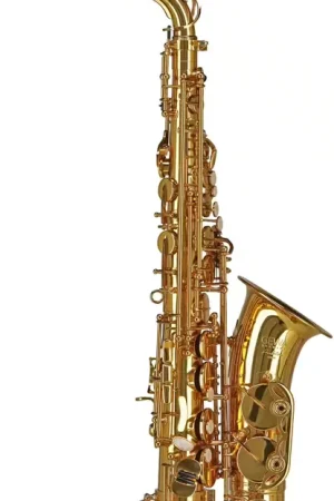 Gewa Ambition AS650 Alto Mib Verni | Qualité professionnelle