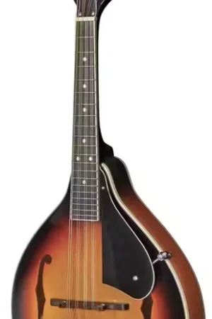 VGS Mandoline A-1 Select Sunburst | Prix promo