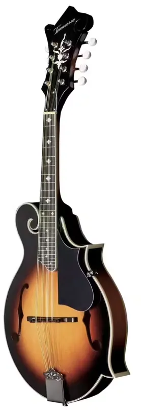 Fin de série | VGS Mandoline F-1 Select Sunburst