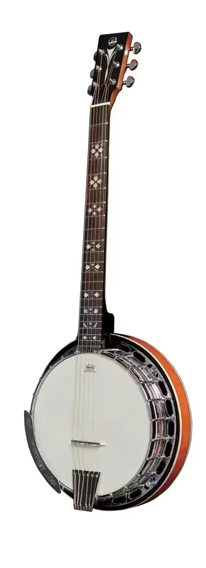Prix réduit | VGS Banjos Premium 6 Cordes Avec étui
