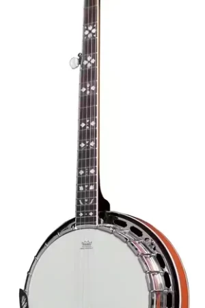 VGS Banjos Premium 5 Cordes Avec étui - Prix imbattable