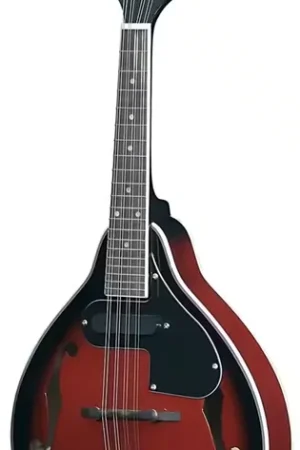 Tenson Mandoline Folk A-1E Black Cherry | Très apprécié des clients