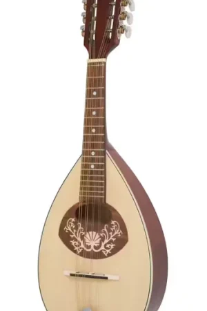 Stock limité - Gewa Mandoline Dos Plat Pro Arte Modle1 Finition Brillante