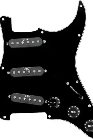Réduction spéciale | Seymour Duncan STK-S10PGD - Stack - Plaque Yjm Fury Noir