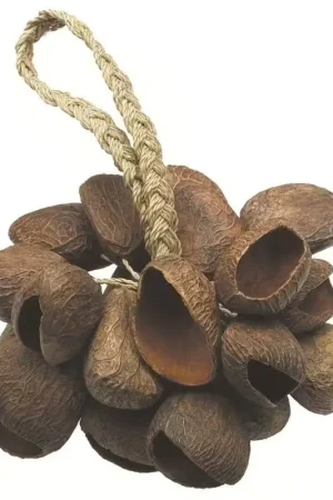 Paiement sécurisé - Toca Shaker Seed Shell - T-SS