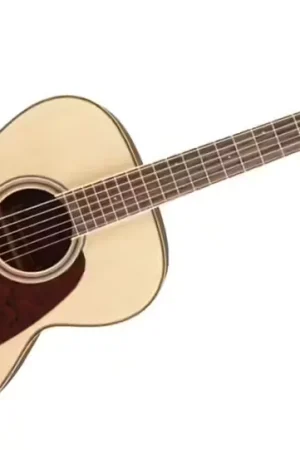 Offre exceptionnelle - Takamine GN93-NAT Natural