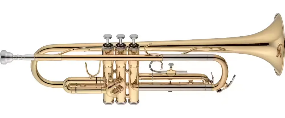 Prix spécial - Jupiter JTR500Q - Sib Vernie - Etude