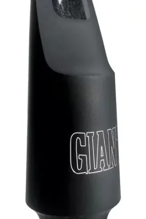 Bonne affaire - Jodyjazz Giant 8 - Ténor