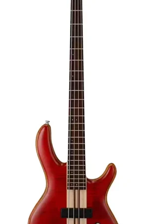 Excellente qualité | Cort A4 Plus FMMH Open Pore Black Cherry
