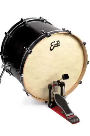 Evans BD26GB4CT - Peau EQ4 Calftone 26 | Plus que quelques jours