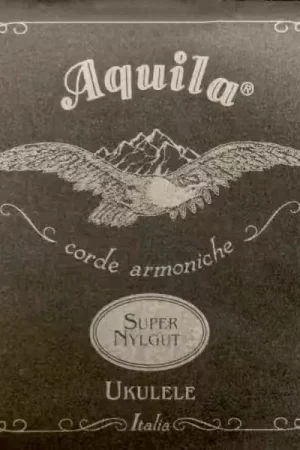 Dernières pièces - Aquila 100U Super Nylgut Soprano