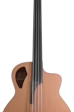 Furch B-61-Cm4-Fretless | Soldes