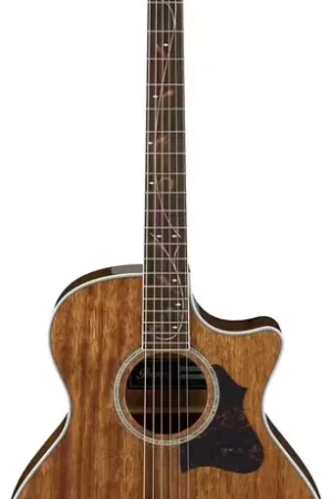 Ibanez AE245-NT Natural | Super prix