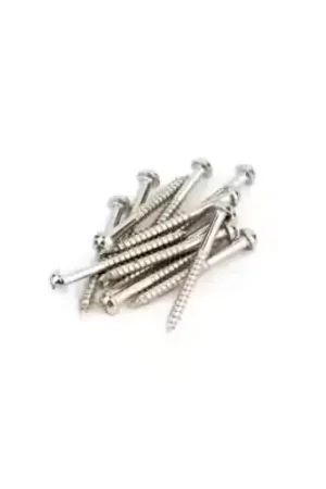 Expédition rapide - Fender Pure Vintage Jazzmaster/Tele Pickup Mounting Screws Nickel (12)