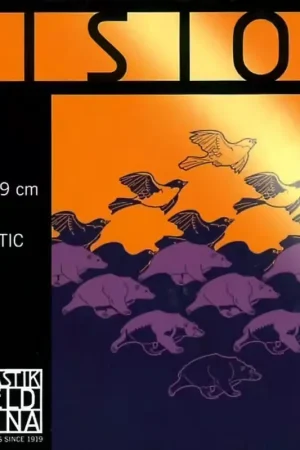 Fin de série | Thomastik Vision Noyau Synthétique Moyen VI200